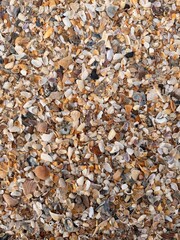 Plage de Floride en octobre 2025