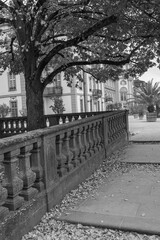 HBerbst in Weisbaden