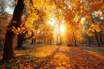 Yellow autumn forest with soft light and falling leaves