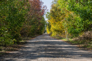 Obraz premium A cracked rural road winds through autumn trees under a partly cloudy sky, evoking quiet solitude and seasonal change.