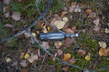 trash in the forest and ecology problem