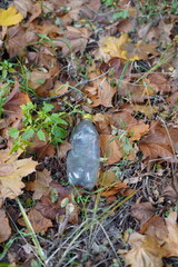 trash in the forest and ecology problem