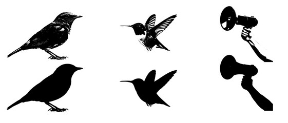 set of silhouettes of birds