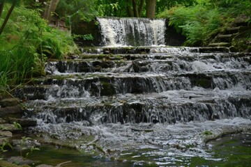 Water flows over a small waterfall and down a series of mossy rocks in a tranquil forest setting