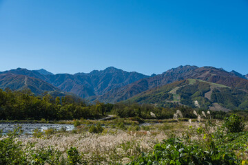 秋の白馬村　八方尾根