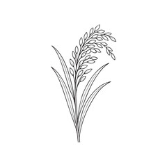 Elegant hand drawn illustration of a single stalk of rice plant with grains and leaves in outline style
