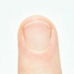Fototapeta premium Close-up of human finger with well-groomed fingernail on white background.