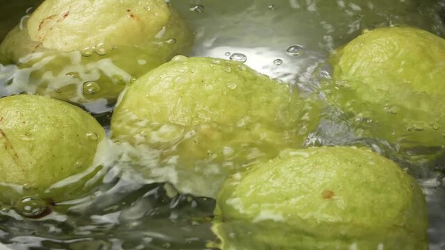 Close-up of fresh green guavas being washed in a stainless steel bowl under a strong stream of tap water. Water splashes and creates bubbles. Food hygiene concept.