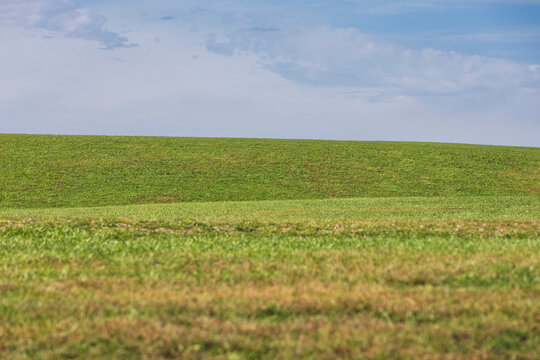 green grass rolling land meadow background nobody landscape