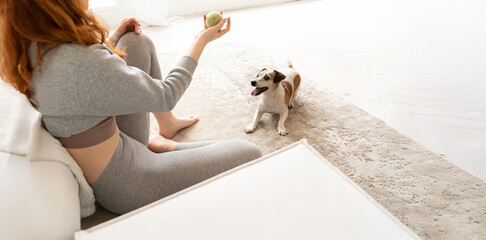 Funny small dog lying on floor waiting for toy to fetch. woman red-haired sitting on floor in white bright living room near sofa playing with pet Jack Russell terrier. Play time at home indoors