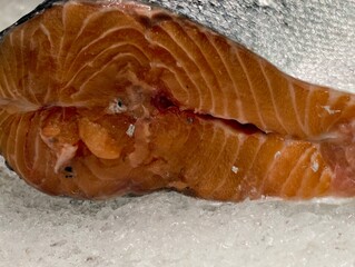 freshly cut salmon steak displayed on crushed ice with vibrant coloration and sustainable sourcing