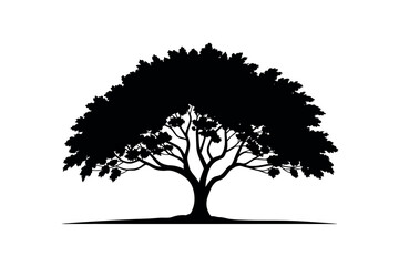 Fototapeta premium A silhouetted deciduous tree stands against a white background, its branches spread wide.