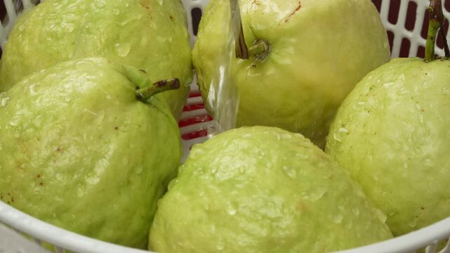 A close-up shot of a person's hands holding and washing a fresh green guava (Psidium guajava) under a running water tap. The water streams over the fruit and into a metal bowl filled with water. This 