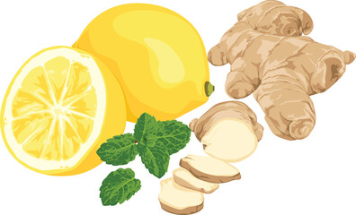 Illustration of fresh ingredients: whole lemons, a lemon half, ginger root, sliced ginger, and sprigs of mint.