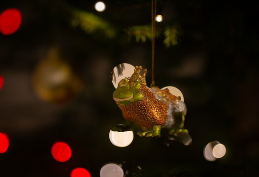 Frog Christmas ornament hanging on tree with festive lights