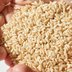 Hands holding brown rice grains close-up with natural light on white background.
