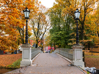 Late autumn in old public park, walking pedestrian bridge and footpaths alleys among golden color trees, cloudy day