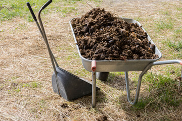 Wheelbarrow Loaded with Compost for Gardening Work