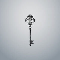 Elegant Antique Style Skeleton Key with Decorative Ornate Top