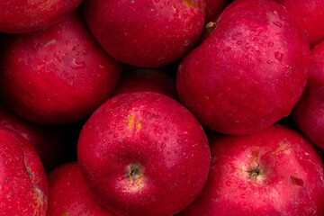 Massive Pile of Freshly Harvested Apples. Abundance of Red Apples in the garden. 