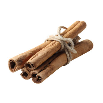 Three cinnamon sticks isolated on transparent background