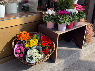 Colorful flowers in pots and bouquets displayed outside a flower shop. Bright autumn sunlight highlighting plants in pink, red, orange, and white tones on a city street.