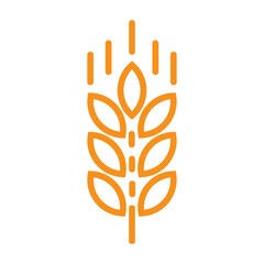 Wheat vector icon design illustration. Oat symbol. Agriculture concept. Ears of wheat, barley, or rye vector graphic icon — ideal for bread packaging, beer labels, etc., on a white background.
