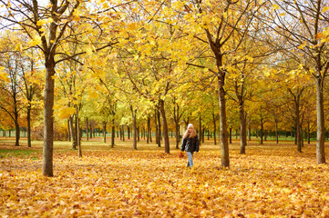 autumn woman walking through golden forest, enjoying vibrant foliage and crisp air. jacket and hat convey cozy seasonal attire. serene park scene captures fall tranquility.
