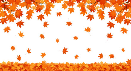 Falling autumn maple leaves border isolated on transparent background