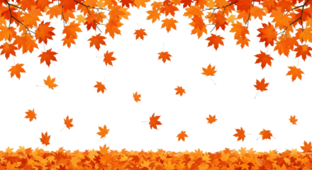 Falling autumn maple leaves border isolated on transparent background