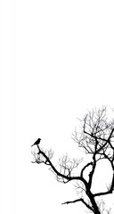 A solitary bird perched on a bare tree branch against a stark white background, creating a striking silhouette.