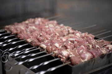 Row of skewers with meat on a grill in smoke, selective focus, concept of outdoor cooking and summer barbecue.