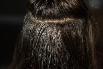 Hair Coloring Process Showing Wet Strands With Color Treatment Applied in a Salon Setting