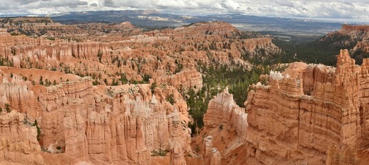 Orange hoodoos in the amphitheater of Bryce Canyon National Park in Utah.