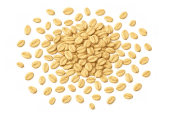 Rolled oats and oat flakes creating a grain explosion, dry healthy ingredient for breakfast on transparent background