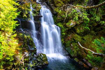 Scenic View of Carter Falls in summer