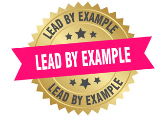 lead by example. lead by example round pink and gold label isolated on transparent background