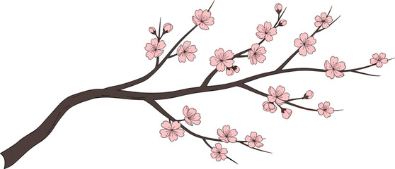 Hand-Drawn Cherry Blossom Branch Vector with Light Pink Flowers and Buds for Springtime Greeting Cards, Japanese Art Backgrounds, and Seasonal Decoration.
