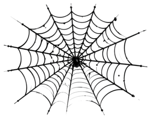 spider and web