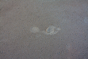 Single Footprint Impression in Wet Beach Sand