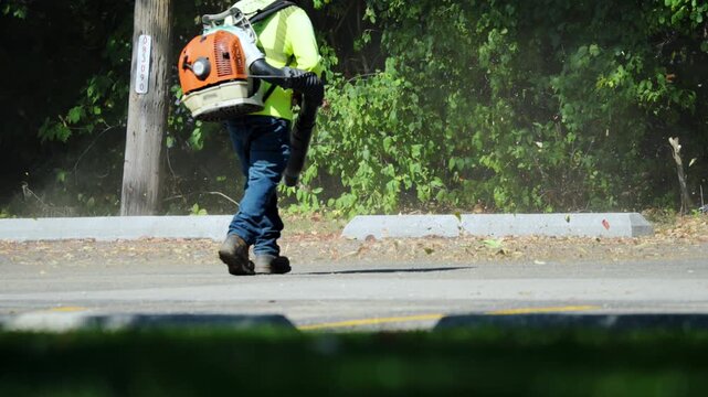 Worker using a leaf blower to clear fallen leaves and debris along edge of the street or parking lot. Dust and dry leaves swirl into the air as the blower operates.