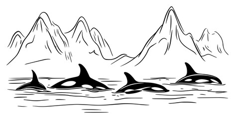 Orcas swimming near snowy mountains – hand-drawn Arctic wildlife seascape vector illustration © Luka