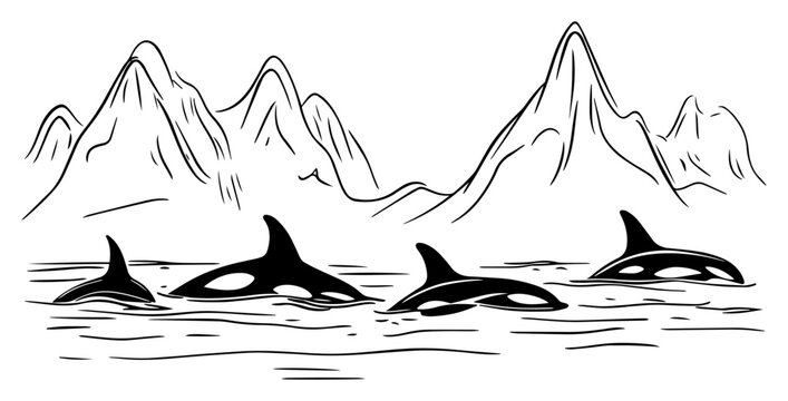 Orcas swimming near snowy mountains &ndash; hand-drawn Arctic wildlife seascape vector illustration
