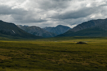 A green plateau in the middle of the Altai mountains in sunny summer weather, Russia