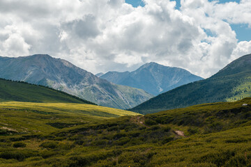 Naklejka premium A green plateau in the middle of the Altai mountains in sunny summer weather, Russia