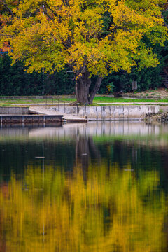 Lisi lake, small lake and popular recreation area in the vicinity of Tbilisi, Georgia