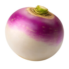  purple turnips isolated on transparent white background full depth of field clipping path