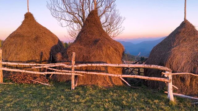 autumn, Carpathians, Ukraine. The Hutsul highlanders are engaged in traditional trades - agriculture and cattle breeding, they store hay in stacks for the winter
