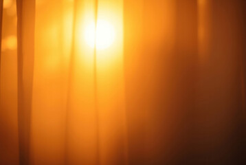 Golden Light, Warm Evening Glow