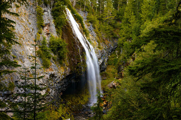 View of Narada Falls Along Green Forest at Mount Rainier